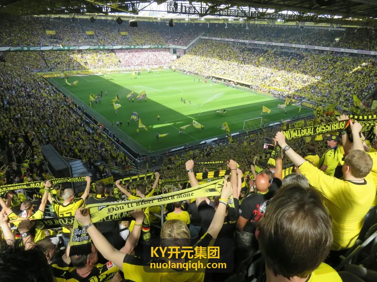 KY开元集团新能源投资案例
