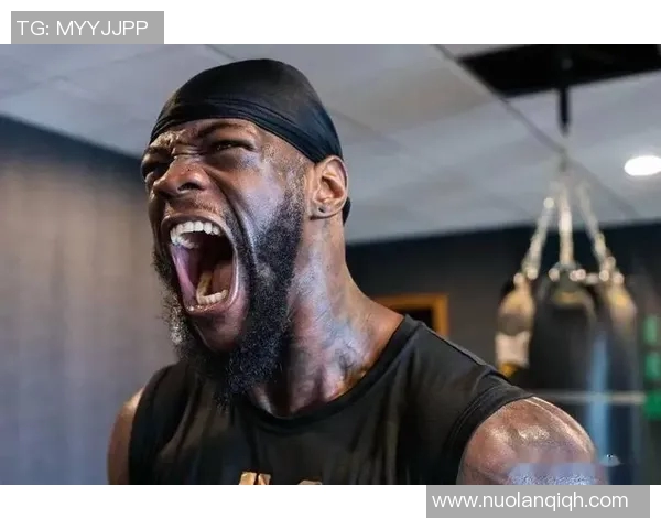 维尔德与史蒂文内激战在即谁能在拳坛巅峰争夺中胜出